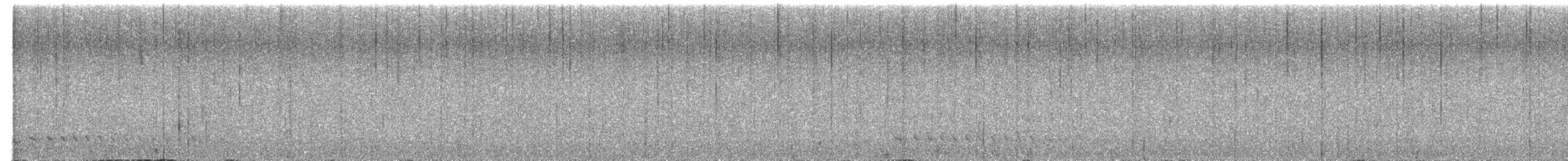 Thicket Antpitta - ML649241336