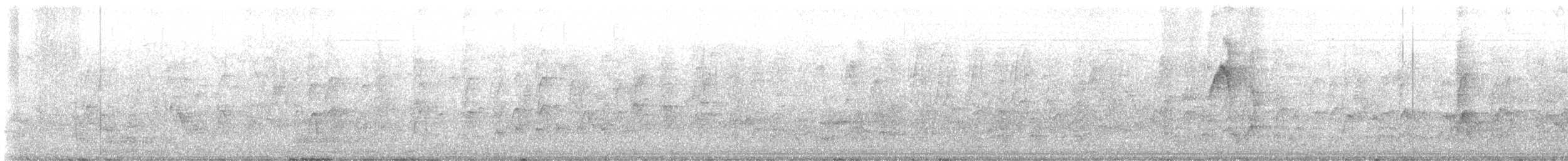 Zozo papargorria - ML649241530