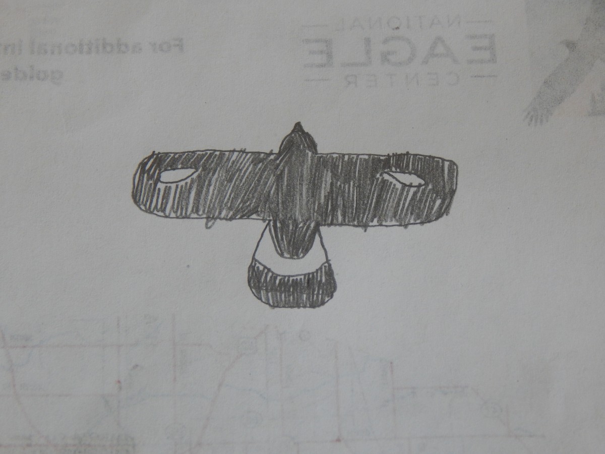 イヌワシ - ML649242755