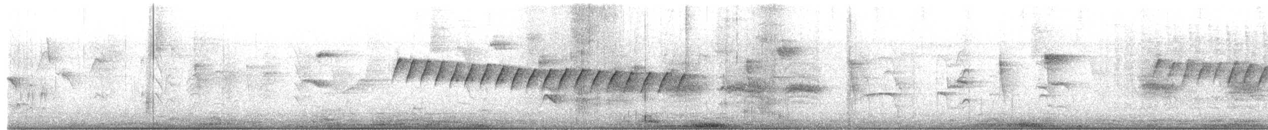 White-browed Gnatcatcher - ML649243693