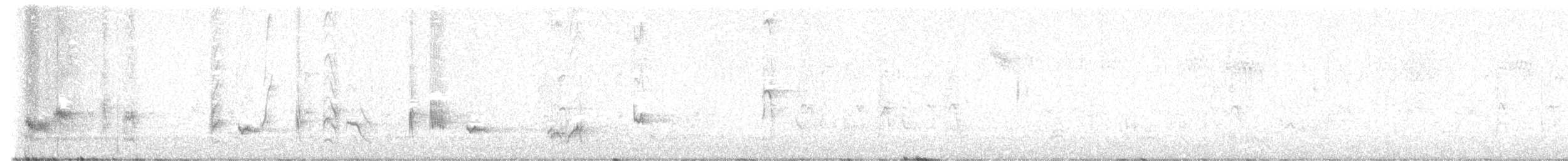 California Thrasher - ML649244098