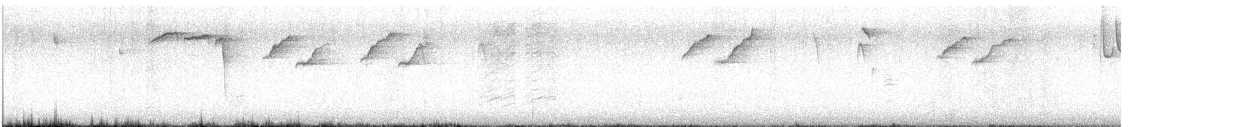 Herrerillo Bicolor - ML649244502