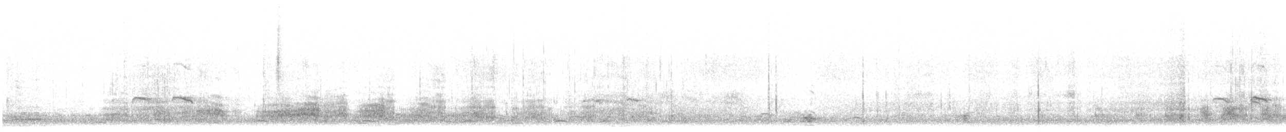 綠頭鴨 - ML649246448