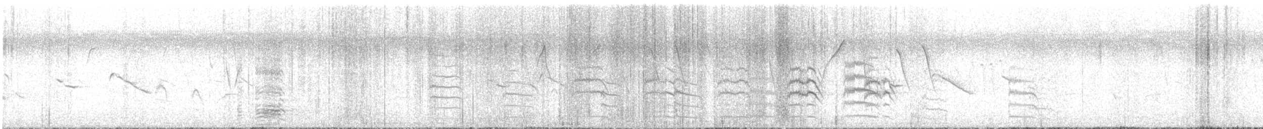 čája obojková - ML649246570