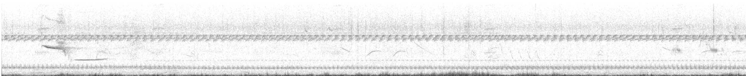 chřástal břidlicový - ML649247798