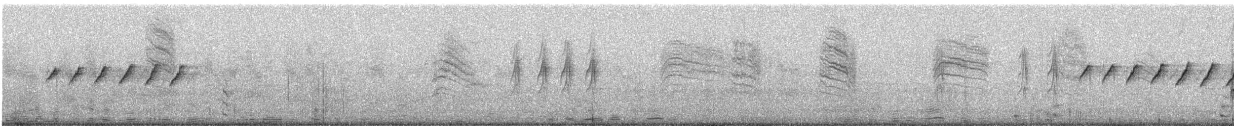 White-browed Gnatcatcher - ML649248942