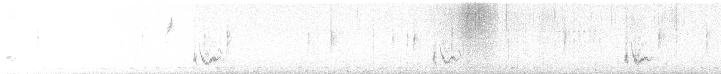 Crissal Thrasher - ML649251630