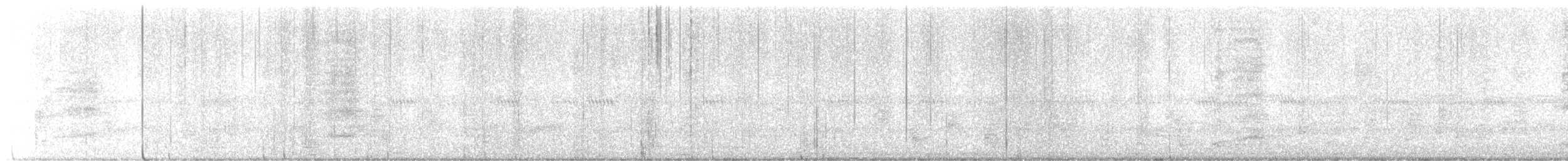 Küba Peçeli Baykuşu - ML649260673