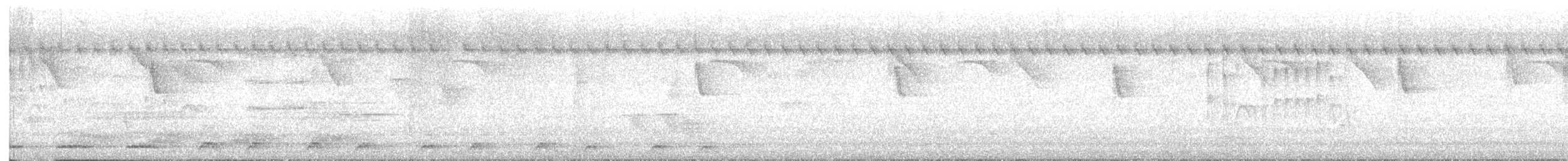 Dschungelzwergkauz - ML649261865