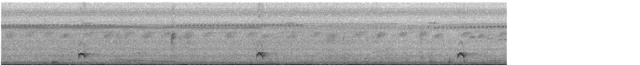 Black-billed Thrush - ML649262538