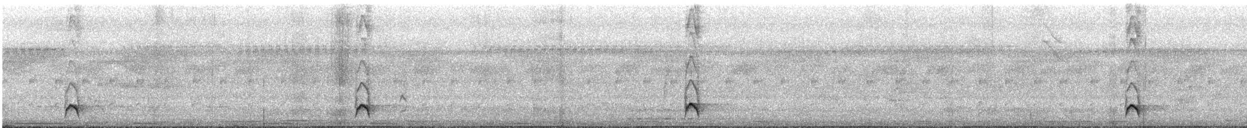 Black-billed Thrush - ML649262539