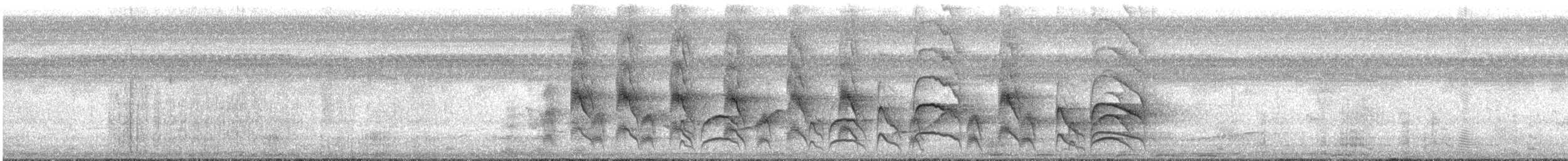 Great Kiskadee - ML649262600