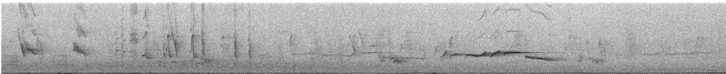 Gray Sibia - ML649262721