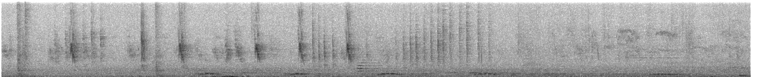 野鴿(野化) - ML649262736