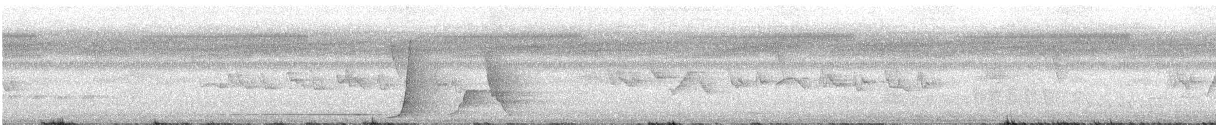 Eastern Whipbird - ML649262795