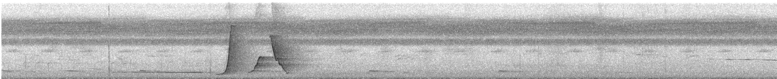 Eastern Whipbird - ML649262933