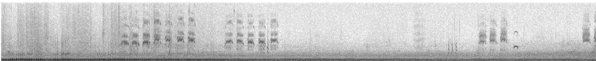 Forster's Tern - ML649264229