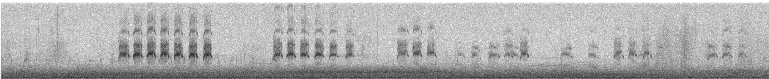 Forster's Tern - ML649264231