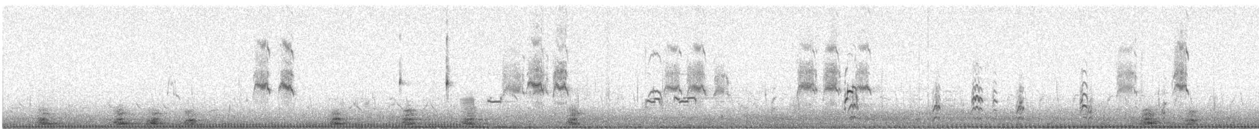 Forster's Tern - ML649264232