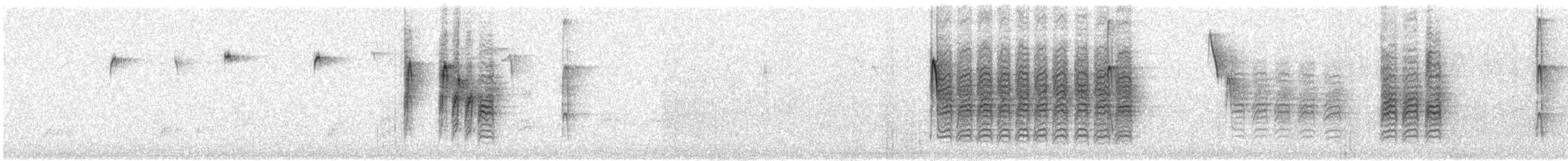 Каролинская гаичка - ML649267618