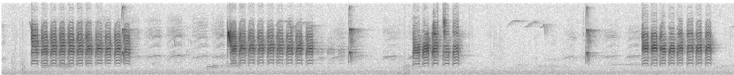 Каролинская гаичка - ML649267619