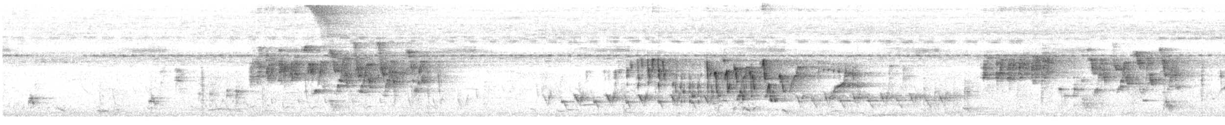 cvrčilka pruhovaná - ML649268060