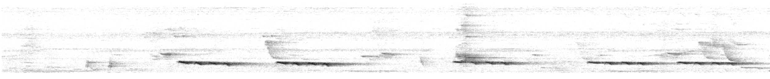 kukačka proužkovaná - ML649268091