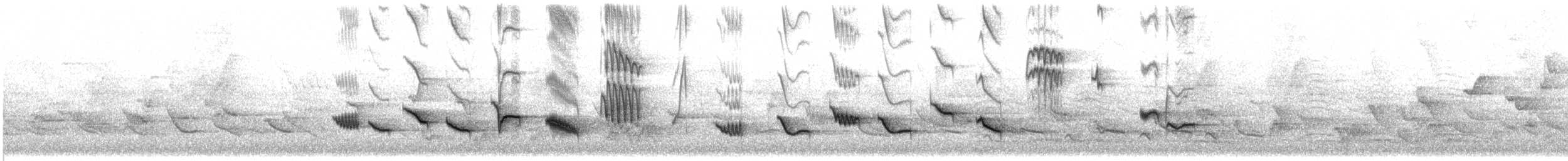 Эфиопский дрозд - ML649268446