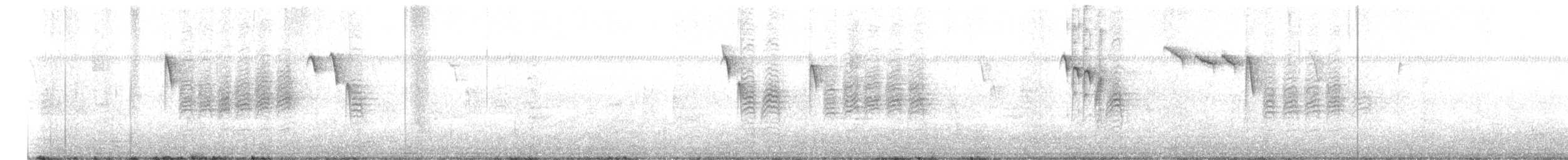 Каролинская гаичка - ML649270024