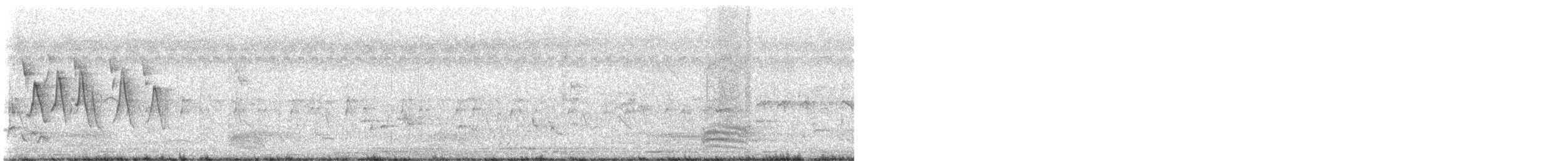 Streifenschwirl - ML649274981