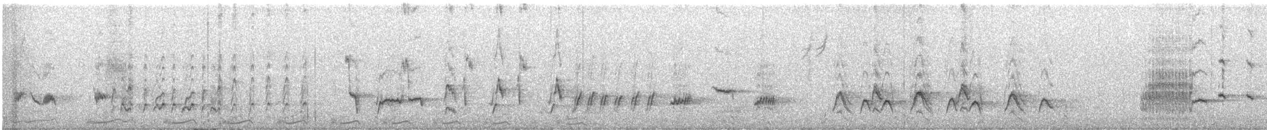 Crissal Thrasher - ML649275087