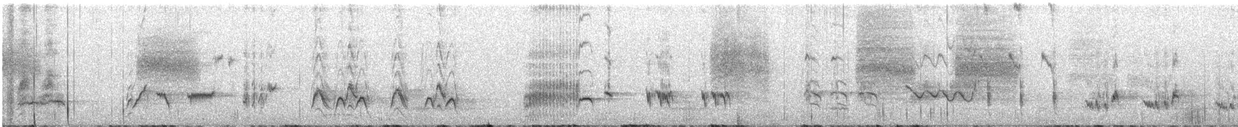 Crissal Thrasher - ML649275092