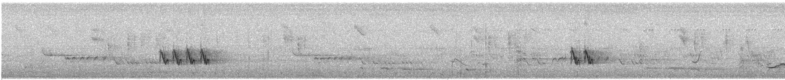 Moineau bridé - ML649282936