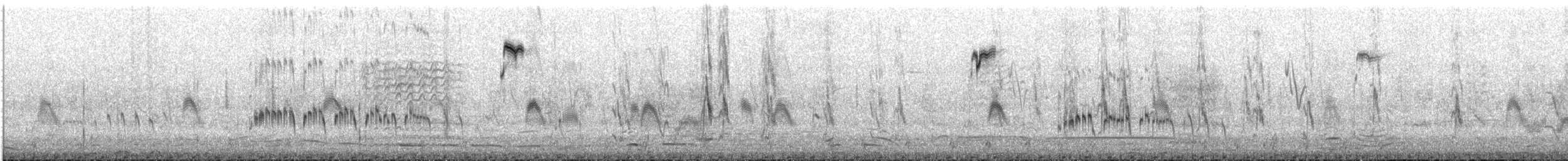 סיס גליל [affinis Group] - ML649283440