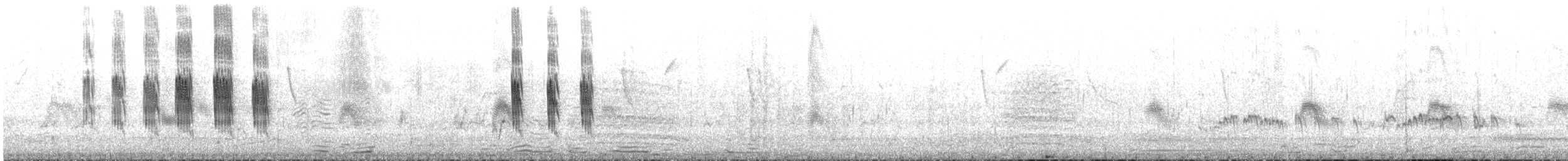 פרפור עקוד - ML649283448