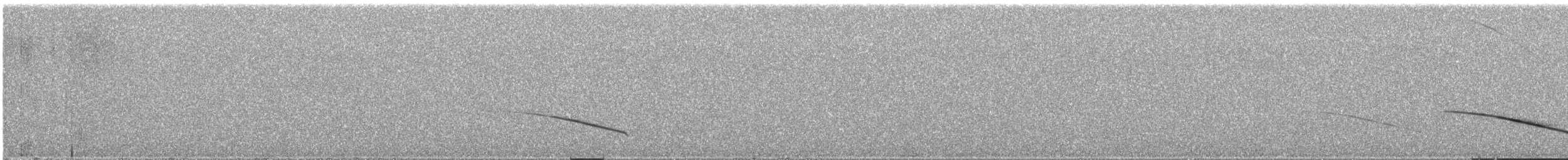 Karoo Long-billed Lark (Karoo) - ML649285733