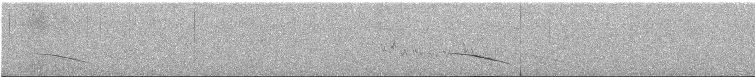 Karoo Long-billed Lark (Karoo) - ML649285853