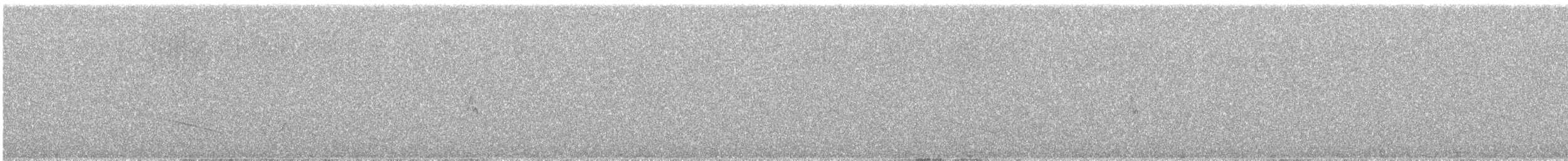 Namaqua Dove - ML649285948