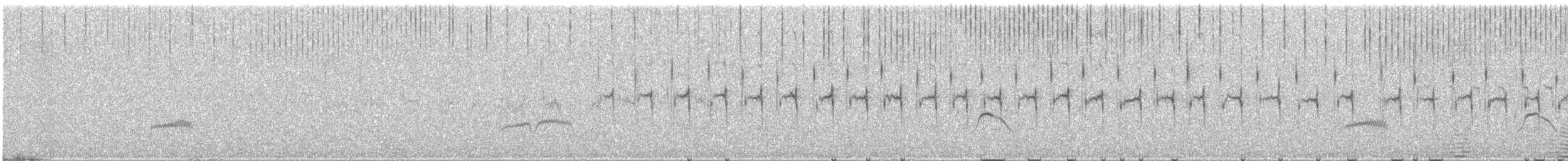 Black-chested Prinia - ML649285986