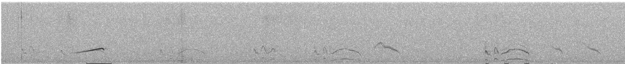 Karoo Long-billed Lark (Karoo) - ML649285996