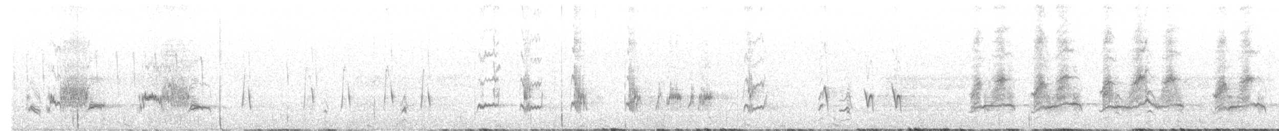Crissal Thrasher - ML649291654