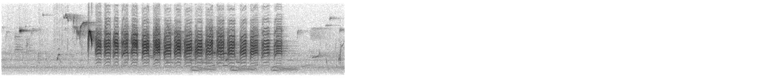 Каролинская гаичка - ML649294845