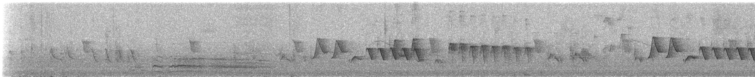 Southern House Wren - ML649300934