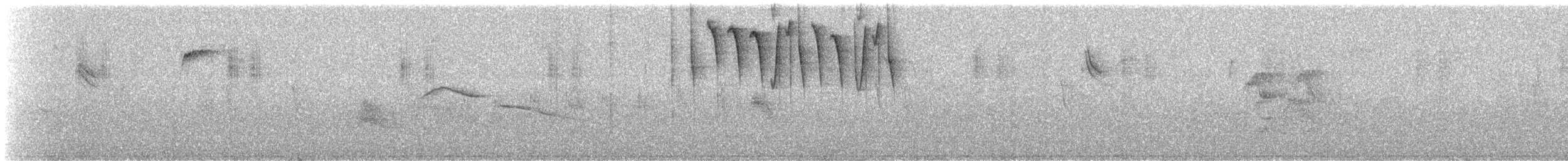 Tyrian Metaltail - ML649301102