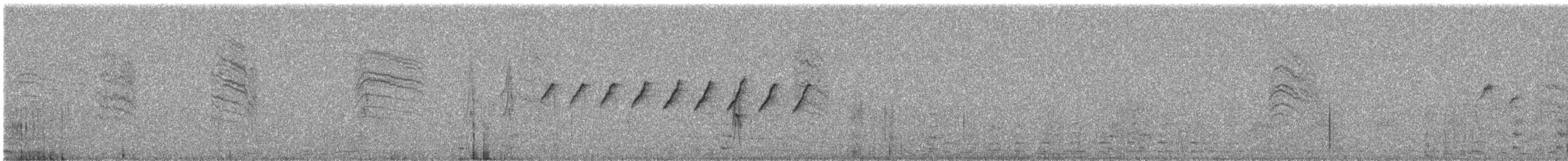 White-browed Gnatcatcher - ML649303827