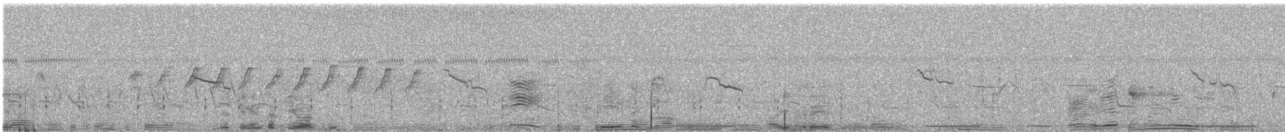 White-browed Gnatcatcher - ML649303828