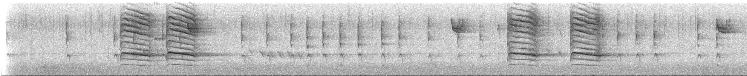 Winter Wren - ML649304690