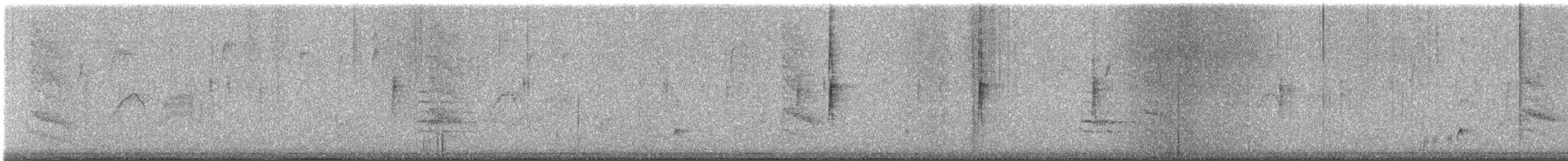 Ash-throated Flycatcher - ML649306257