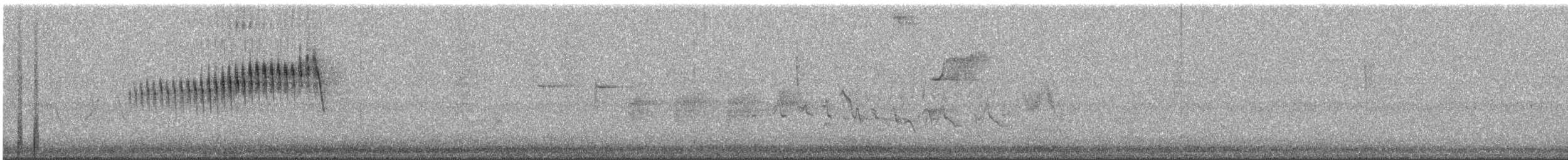 Northern Parula - ML649306566