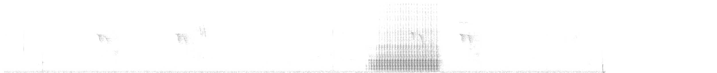 strakapoud americký [skupina harrisi] - ML649308051